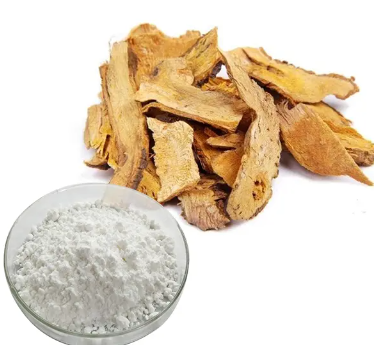 polygonum cuspidatum root extract.png